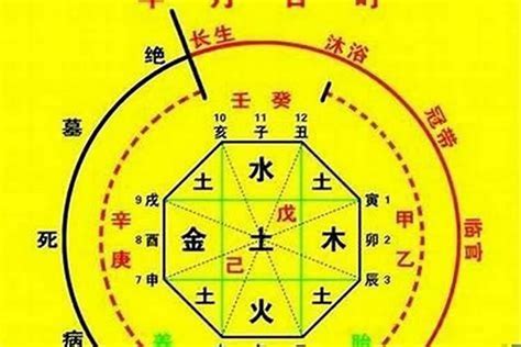 十神 八字|八字十神都代表什么？十神的用法详解